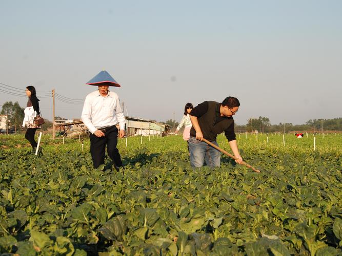 我是这么样在惠州搞农场生鲜农产品o2o配送业务的